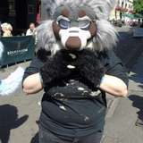 oggleshy from onlyfans