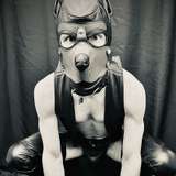 rocketsmutts from onlyfans