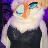 nuclearpuppo from onlyfans
